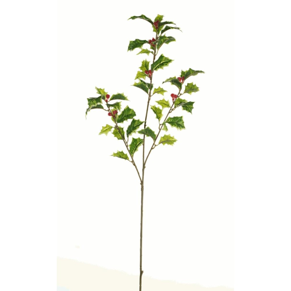 HOLLY SPRAY X3 VARIEGATO CON BERRY H.62